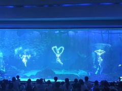 -海合安成都极地海洋公园