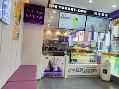 -一只酸奶牛(洪崖洞11楼店)