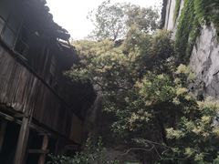 -书隐楼