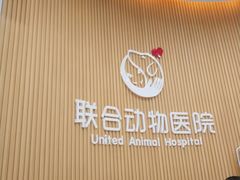 -联合动物医院(光谷诊疗中心)