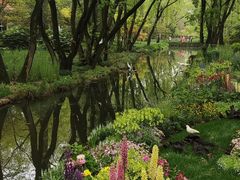 -上海共青森林公园