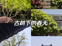 -常熟方塔园