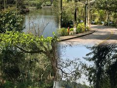 -三水森林公园