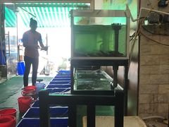 -QQ海鲜餐厅