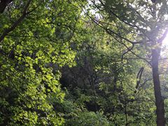 -云峰山自然风景区