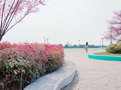 -贡湖湾湿地公园