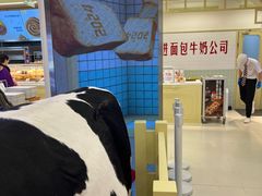 -红星前进面包牛奶公司(君太店)