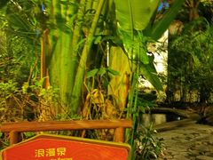 -碧桂园润杨溪谷温泉酒店