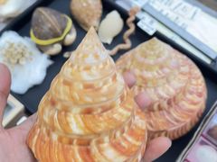 -万达广场(武汉菱角湖店)