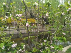 -元大都城垣遗址公园