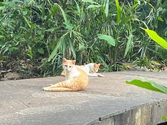 -广州市白云山风景名胜区