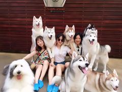 -TrueLove @ Neverland (Husky Cafe)