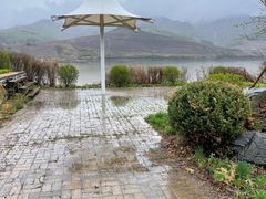 -庆岭迎宾园正宗活鱼馆