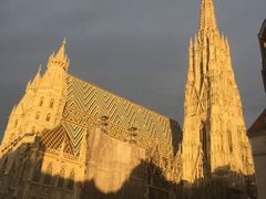 -斯蒂芬主教座堂(Stephansdom)
