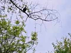 -长白岛森林公园