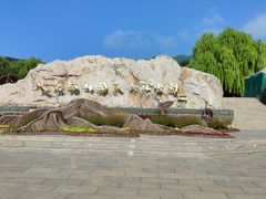 -北京西山国家森林公园