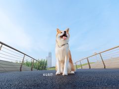 -天府广场