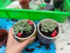 -华为成都研究所-U1