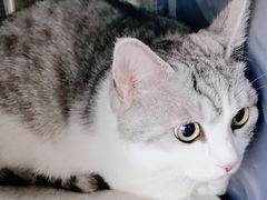 -中农国际动物医院24小时·猫科·骨科·急重症中心
