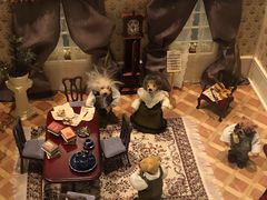 -济州岛泰迪熊博物馆