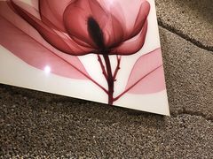-小城粥道·海胆鲜虾粥(解放广场店)