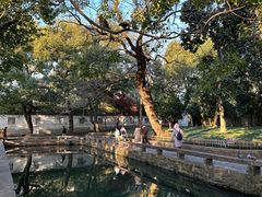 -西园戒幢律寺