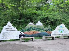 -西岭雪山大飞水景区