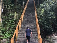 -云碧峰国家森林公园