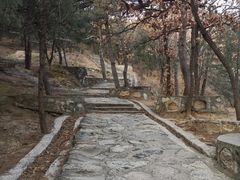 -北京鹫峰国家森林公园