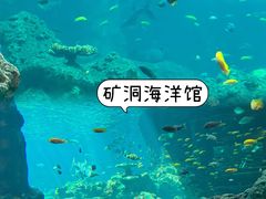 -长鹿旅游休博园