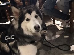 -别院里音乐餐酒吧(双流航空港店)