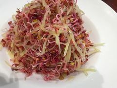 凉拌豆苗-冷大厨灌汤包