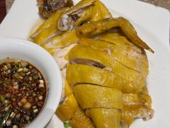 木桶鸡-金龙寨(解西店)