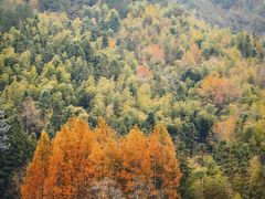 -塔川景区