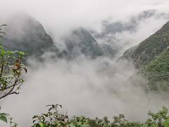 -武陵山森林公园