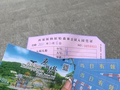 -西双版纳原始森林公园