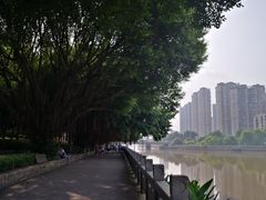 -光明港公园