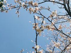 -黄龙带水库