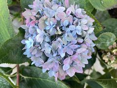 -唐咖精品咖啡(大理古城手冲店)