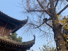 -长春观