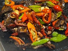 -蘑统田下·野生菌火锅