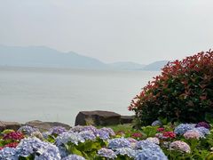 -东钱湖小普陀景区