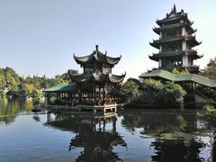 -桂湖森林公园