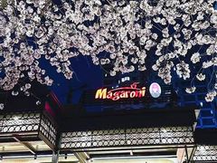 -玛格萝妮比萨屋(四平店)
