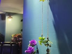 -忘忧草融合私房菜(红鼎国际店)