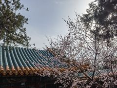 -颐和园