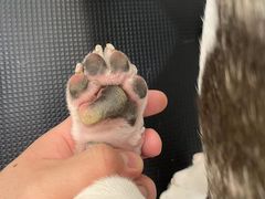 -comecome来吧宠物(奥克斯中心店)