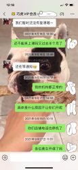 -巧虎kids体验中心(绿宝广场店)