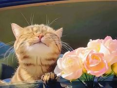 -万达广场(南京江宁店)