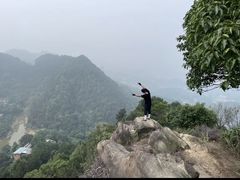 -南山植物园
